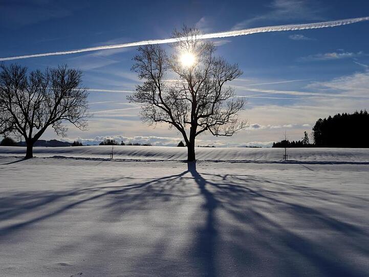 Im Sonnenschein liegt die winterliche Landschaft.