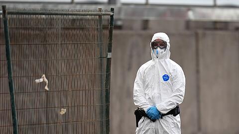 Beim Kontakt mit dem Hantavirus sollte ein Schutzanzug Pflicht sein.