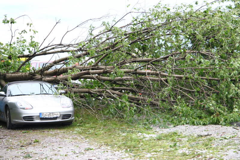 Hagel, Regen, umgeknickte Bäume, vollgelaufene Keller - Heftige Unwetter sind am Mittwochabend über Bayern gezogen. Die Bilder.