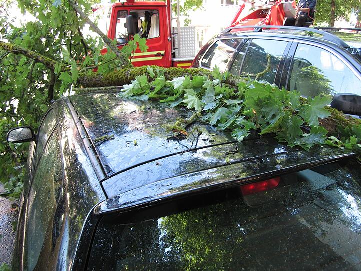 Die Bilder vom beim Gewitter völlig zerstörten Auto und dem unheilbringenden Ast.