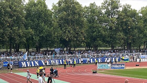 Zaunfahne des TSV 1860 Zaunfahne des TSV 1860