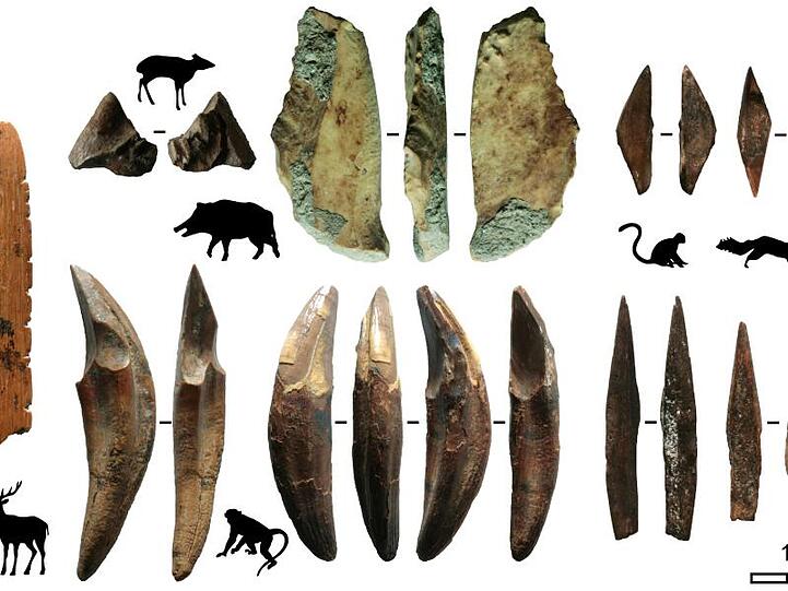 Werkzeuge aus Knochen und Zähnen sind Teil archäologischer Funde, die auf Sri Lanka gemacht wurden.
