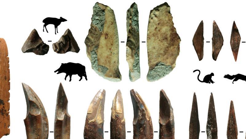 Werkzeuge aus Knochen und Zähnen sind Teil archäologischer Funde, die auf Sri Lanka gemacht wurden. Werkzeuge aus Knochen und Zähnen sind Teil archäologischer Funde, die auf Sri Lanka gemacht wurden.