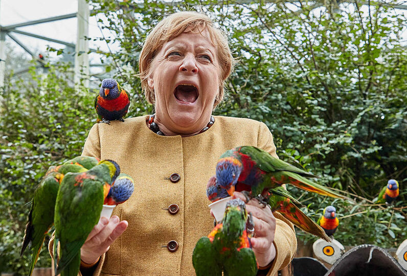 Kreischt auf: Angela Merkel mit australischen Loris