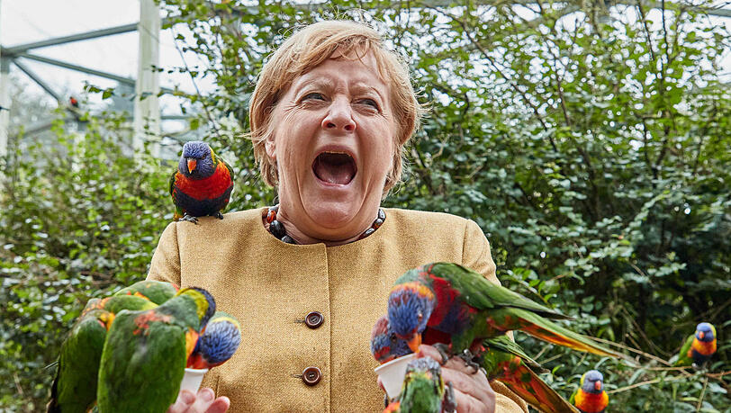 Kreischt auf: Angela Merkel mit australischen Loris Kreischt auf: Angela Merkel mit australischen Loris