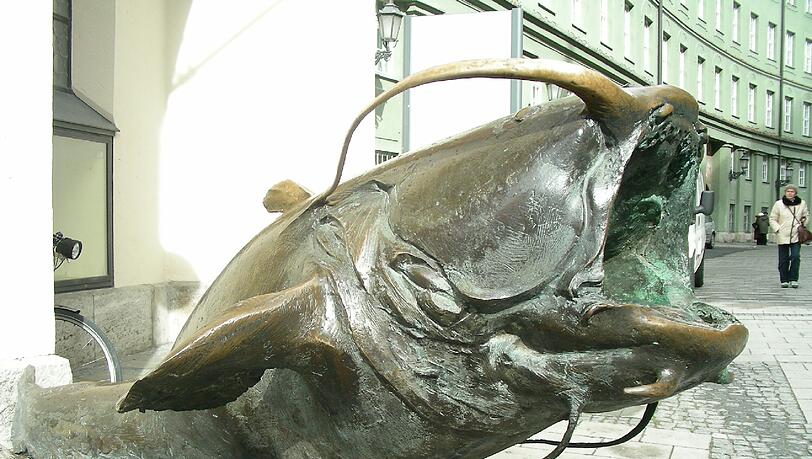 Normalerweise steht der Waller vor dem Jagd- und Fischereimuseum. (Archivbild) Normalerweise steht der Waller vor dem Jagd- und Fischereimuseum. (Archivbild)
