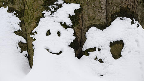 K&ouml;nnen die Kinder in diesem Jahr oft einen Schneemann bauen? Die aktuellen Wetter-Prognosen sind sich einig.