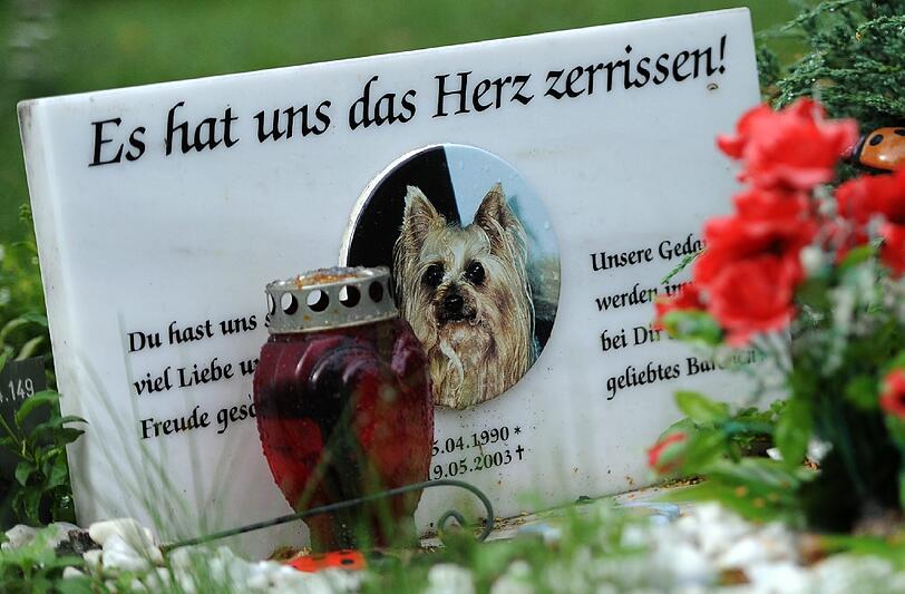Diese Hunde sind für ihre Besitzer mehr als nur ein Haustier gewesen. Sie ruhen jetzt auf einem der vielen Tierfriedhöfe.
