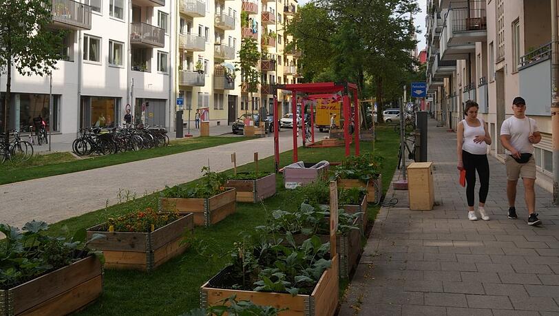 In den Hochbeeten wachsen bereits Zucchini-Pflanzen, Tomaten, Kürbis und Salat. Bewohner konnten sich für Patenschaften anmelden. In den Hochbeeten wachsen bereits Zucchini-Pflanzen, Tomaten, Kürbis und Salat. Bewohner konnten sich für Patenschaften anmelden.