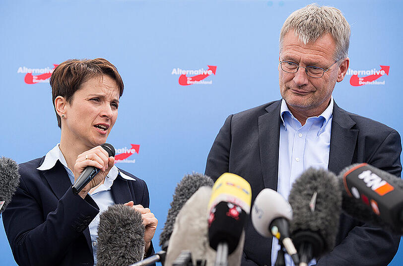 Führende AfD-Politiker sind gegen die Absetzung des bisherigen Vorstands um die beiden Co-Vorsitzenden Frauke Petry und Jörg Meuthen, obwohl sie seit Wochen im Clinsch liegen.