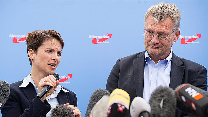 Führende AfD-Politiker sind gegen die Absetzung des bisherigen Vorstands um die beiden Co-Vorsitzenden Frauke Petry und Jörg Meuthen, obwohl sie seit Wochen im Clinsch liegen.