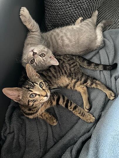 Mila und Paco