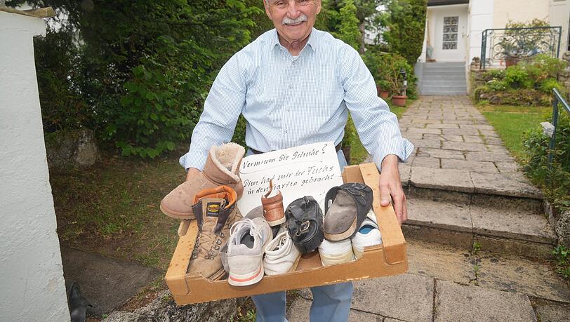 Seit drei Wochen findet Fritz Scholze fast jeden Morgen fremde Schuhe in seinem Garten verteilt. Drei Füchse sind für die Unordnung verantwortlich. Der 89-Jährige sammelt die Schuhe und stellt sie vor sein Haus in der Hoffnung, dass sich ihre Besitzer wiederfinden.