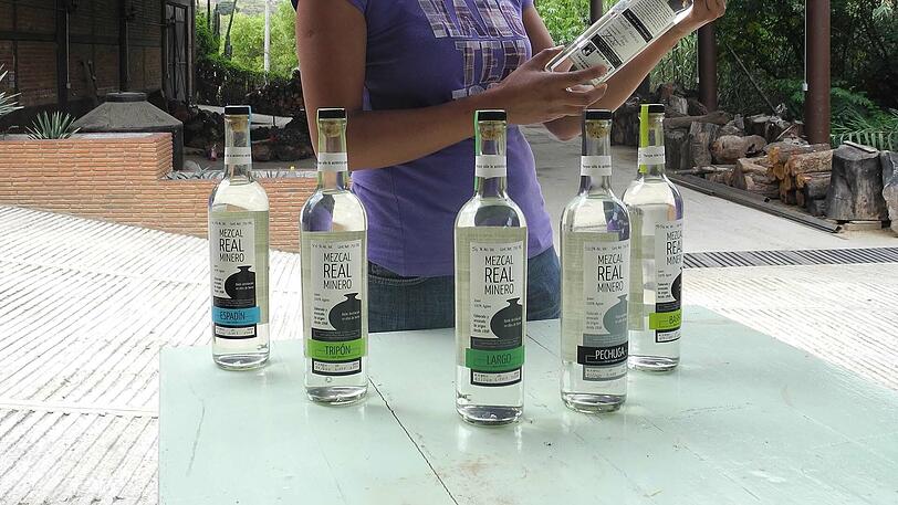 M - Mezcal: Nach Gin und Whisky und anderen In-Alkoholika sagen Experten laut "Forbes"-Magazin unter anderem einen Trend zu Drinks mit der Agaven-Spirituose Mezcal voraus. Auch die Kümmel-Spirituose Aquavit soll im Kommen sein.