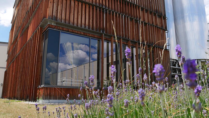 Lammsbr&auml;u setzt bereits seit den 70er Jahren auf eine &ouml;kologische Ausrichtung. Daf&uuml;r gab es schon viele Preise, aktuell den Deutschen Nachhaltigkeitspreis.