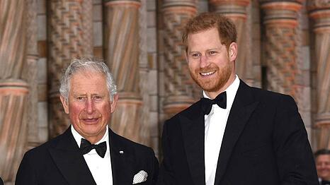 Lang ist es her: Prinz Harry und K&ouml;nig Charles bei einem gemeinsamen Auftritt im Jahr 2019.