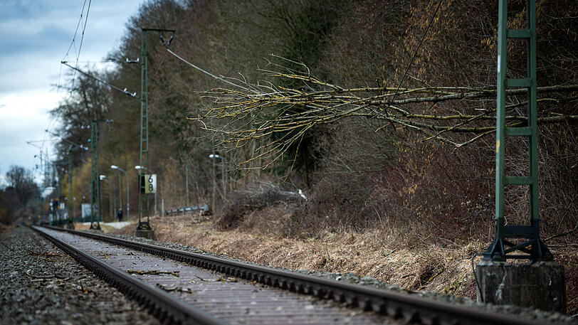Auf der Bahnstrecke der S2 zwischen St. Koloman und Aufhausen liegt ein Baum auf der Stromleitung.