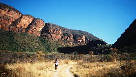 Laufspaß in der Wildnis Laufspaß in der Wildnis