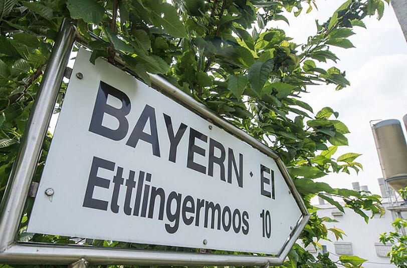 Der ehemalige Geschäftsführer von Bayern-Ei befindet sich auf freiem Fuß.