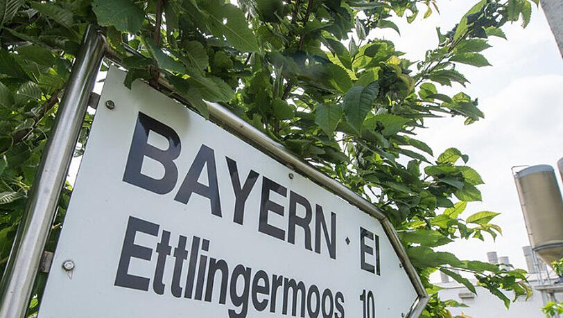 Der ehemalige Geschäftsführer von Bayern-Ei befindet sich auf freiem Fuß. Der ehemalige Geschäftsführer von Bayern-Ei befindet sich auf freiem Fuß.