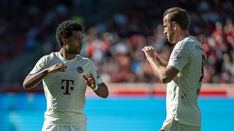 Serge Gnabry (li.) und Harry Kane kennen die 2006 eröffnete Heimat des FC Arsenal bestens aus ihrer Zeit in der englischen Premier League.