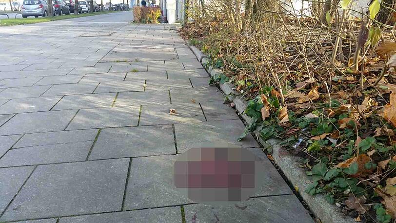 Die Naupliastraße in Harlaching: Hier kam es zu den tödlichen Messerstichen.