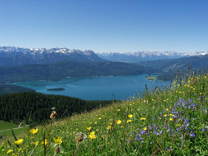 Kräuter sind ein Erlebnis für alle Sinne - bei Kräuterwanderungen kann man diese Erfahrung machen.