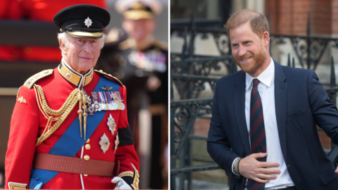 Könnte es zum Treffen zwischen König Charles und Prinz Harry kommen?