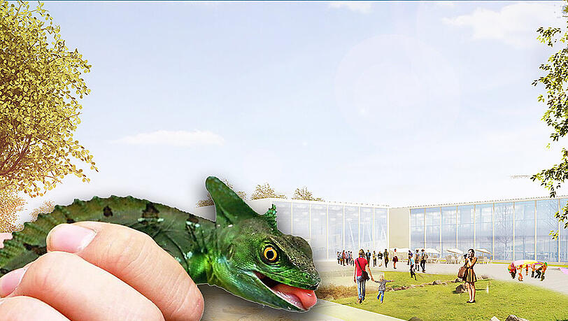 So soll die neue Auffangstation für Reptilien in Neufahrn einmal aussehen. So soll die neue Auffangstation für Reptilien in Neufahrn einmal aussehen.