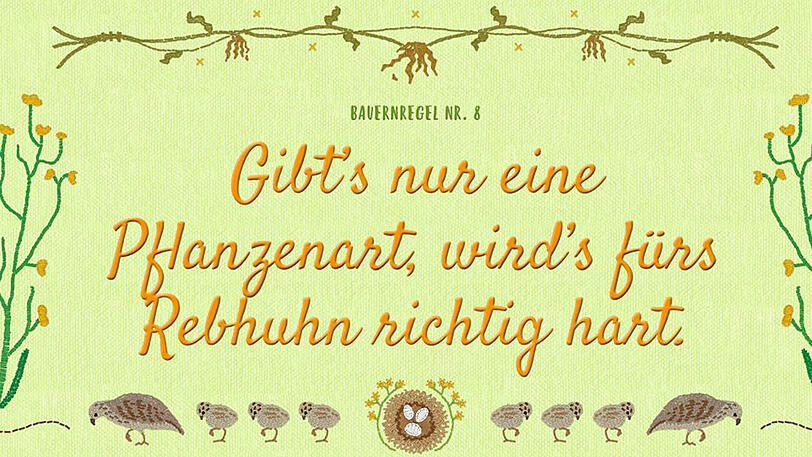 Streit um die "neuen Bauernregeln" von Umweltministerin Hendricks.