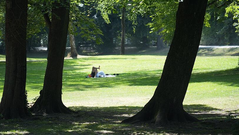 Hier hat sich jemand einen Schattenplatz gesichert. Hier hat sich jemand einen Schattenplatz gesichert.