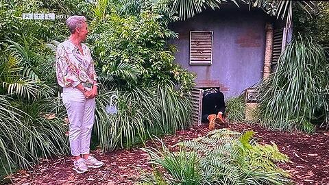 Sonja Zietlow schickt Jan Köppen in die Dschungelprüfung.