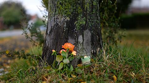 Auch an einem Baum in der Nähe des Tatorts wurden Blumen abgelegt.