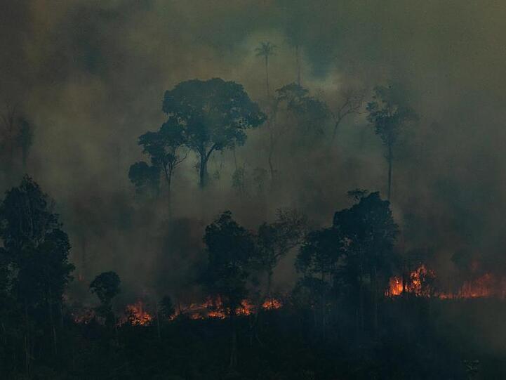 Immer mehr brasilianische Bundesstaaten bitten das Militär um Hilfe. Es sind: Amazonas, Rondônia, Roraima, Pará, Tocantins, Acre und Mato Grosso.