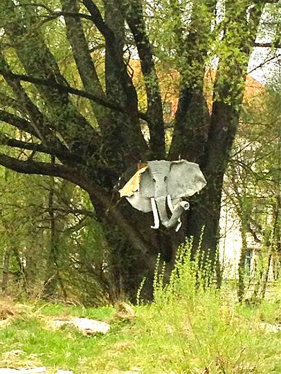 Der Isar-Elefant.