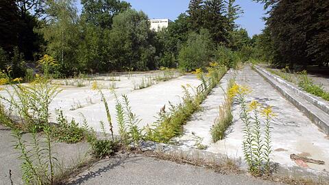 Im Floriansmühlebad sind die Becken leer und überwuchert. Das einstige Freibad wird seit Ende der 80er nicht mehr genutzt.