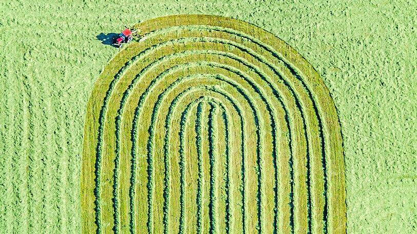 Ein roter Traktor auf einer grünen Wiese: Heraus kommen dabei wundersame Rundungen.