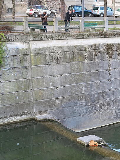 An der Maximiliansbrücke treibt am Mittwoch eine Gitarre in der Isar.