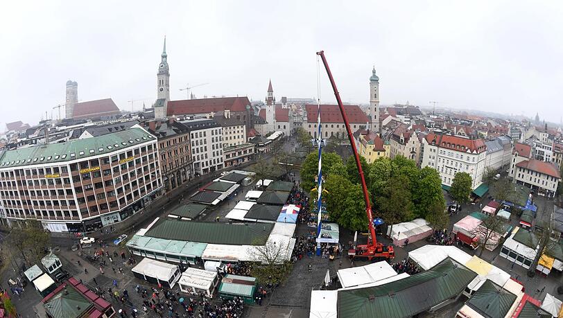 Die Stangerl-lose Zeit ist zu Ende: Mit über einer Stunde Verspätung kommt der 14. Maibaum am Viktualienmarkt kurz vor 12 Uhr in die Senkrechte - übergeben vom Verein Münchener Brauereien.