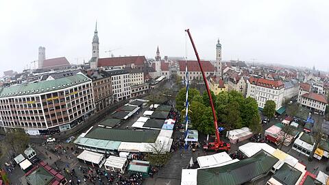 Die Stangerl-lose Zeit ist zu Ende: Mit über einer Stunde Verspätung kommt der 14. Maibaum am Viktualienmarkt kurz vor 12 Uhr in die Senkrechte - übergeben vom Verein Münchener Brauereien.