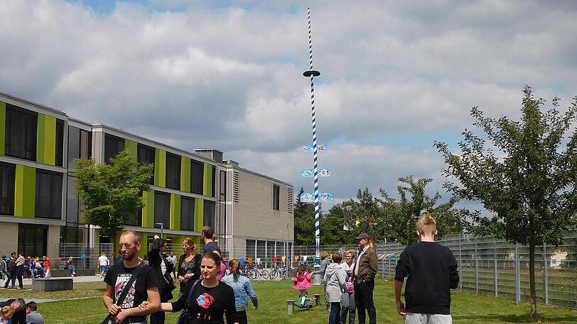 Da steht er, der Junibaum am Truderinger Gymnasium.