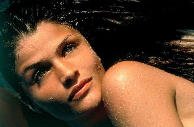 Die exklusiven Fotos aus dem Pirelli-Kalender sind nun erstmals auch in einem käuflichen Sammelband erschienen.