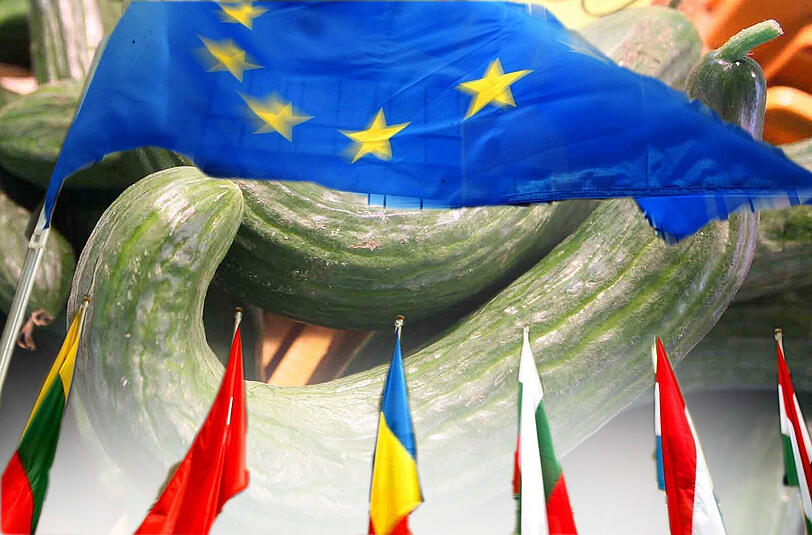 Die Krümmung der Gurke wird längst nicht mehr von der EU vorgeschrieben - zum Bedauern vieler europäischen Bauern.