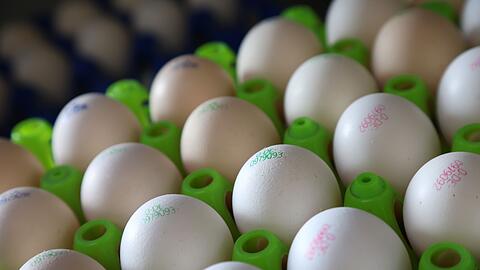 Bio-Eier sind besonders gefragt. (Symbolbild)