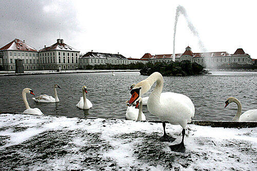 59. 1966 wurde die letzte Gaslaterne vor Schloss Nymphenburg entfernt.