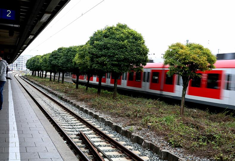 An der Donnersbergerbrücke passierte der Unfall: Eine Münchnerin fiel einfach so ins Gleis.
