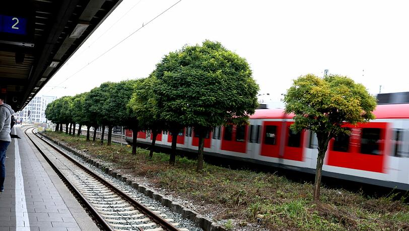An der Donnersbergerbrücke passierte der Unfall: Eine Münchnerin fiel einfach so ins Gleis. An der Donnersbergerbrücke passierte der Unfall: Eine Münchnerin fiel einfach so ins Gleis.