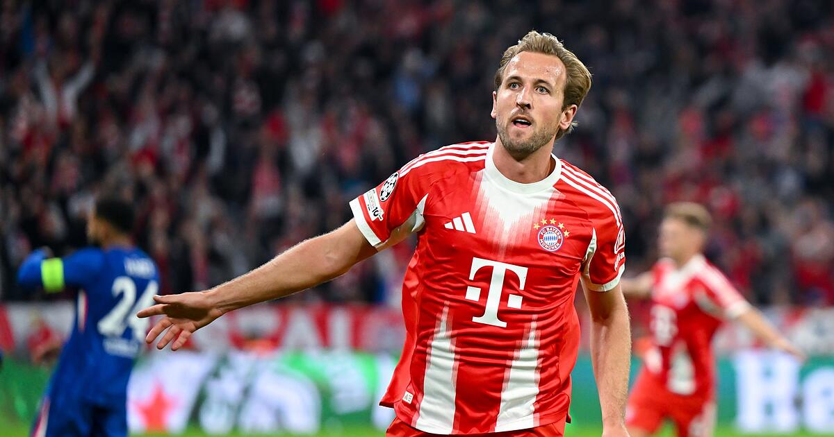 Hoene-adelt-Kane-Ebenb-rtig-mit-Vereinslegende