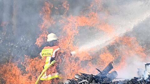 Das Feuer drohte auf den umliegenden Wald &uuml;berzuspringen.