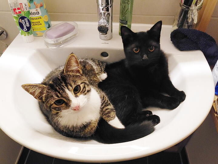Coco und Mango